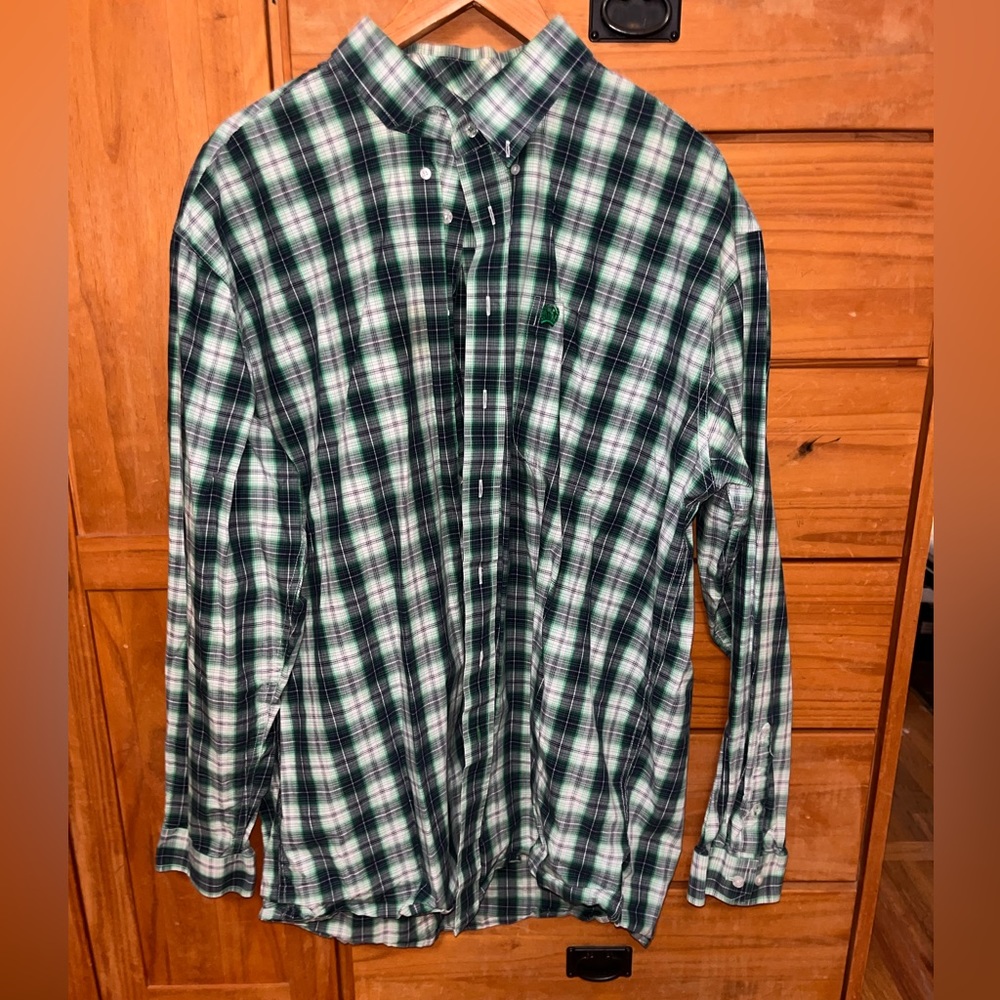 Cinch Button Down - image 1
